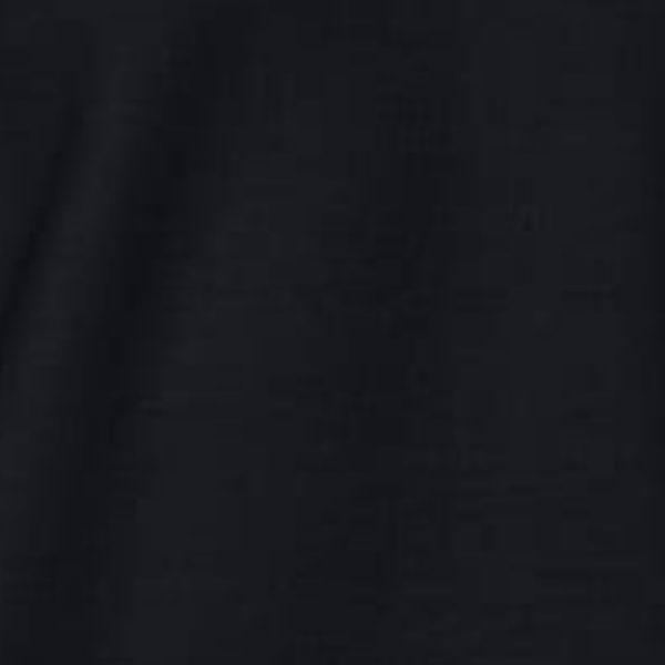 Garment preview